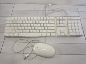 Apple A1048 Wired Keyboard, White, Includes Apple Wired Mighty Mouse A1152
